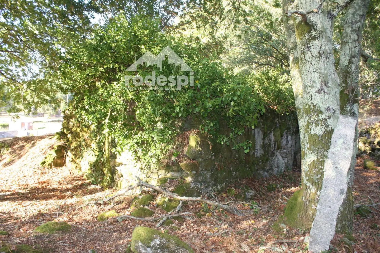 Lands and plots for sale in Mondariz, imagen 6