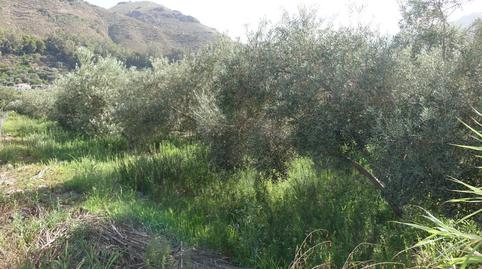 Photo 5 of Country house for sale in Órgiva, Granada