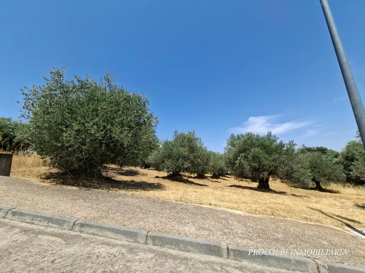 Lands and plots for sale in Calle Río Tajuña 1676, imagen 11