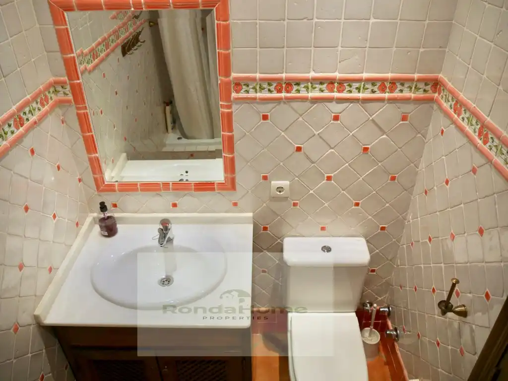 Villa in vendita a Centro ciudad, imagen 32