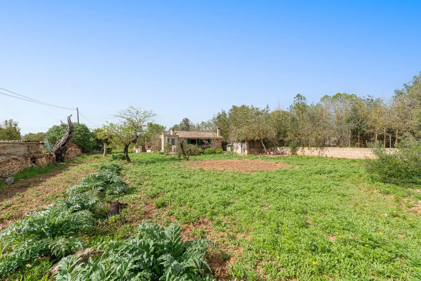 Jardín de Casa o chalet en venta en Llucmajor con Jardín privado y Trastero