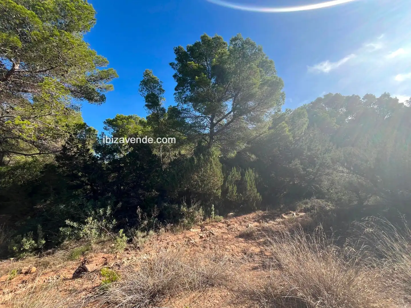 Terreno en venta en de Cala d'Hort, Es Cubells