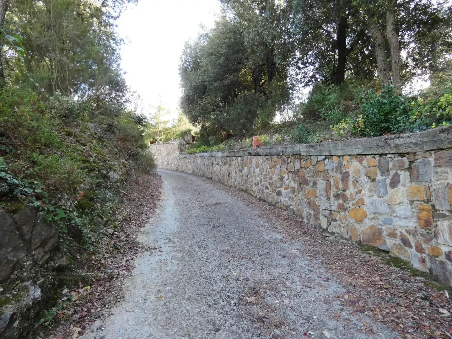 Vista exterior de Casa o xalet en venda en Castellar del Vallès amb Balcó