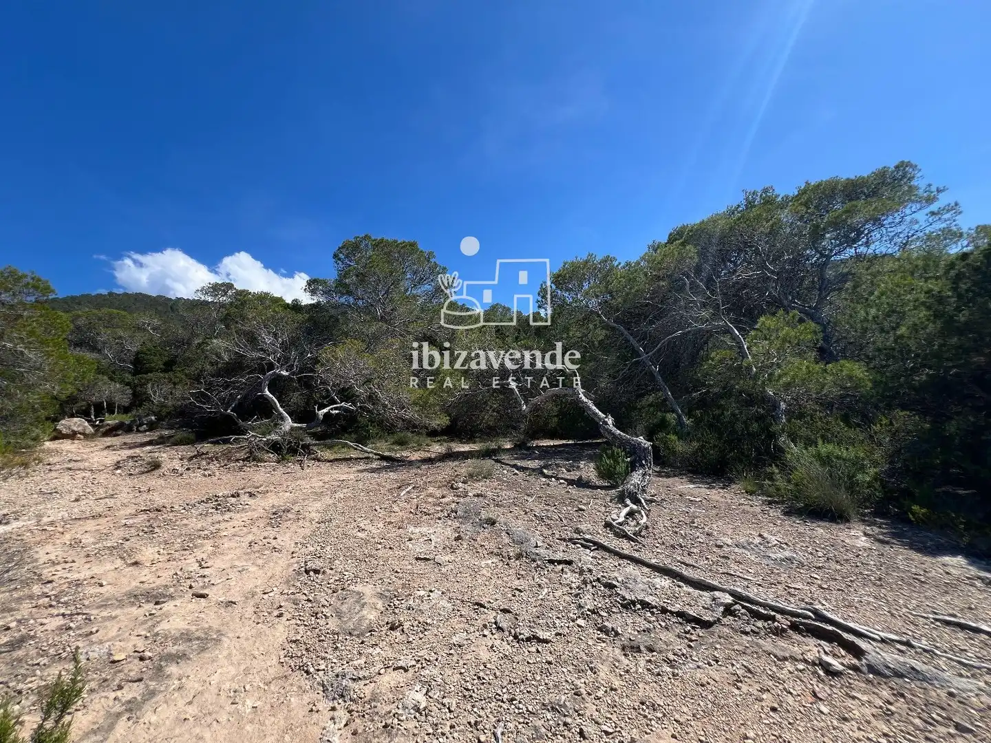 Terreno en venta en Sant Joan de Labritja