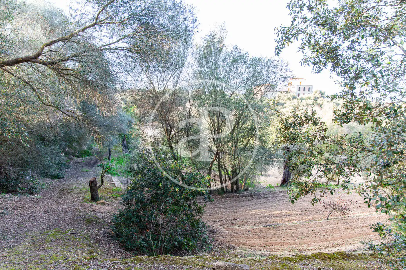 Residencial en venta en Santa Margalida