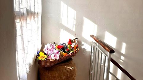 Foto 5 de Casa o chalet en venta en Ayódar, Castellón