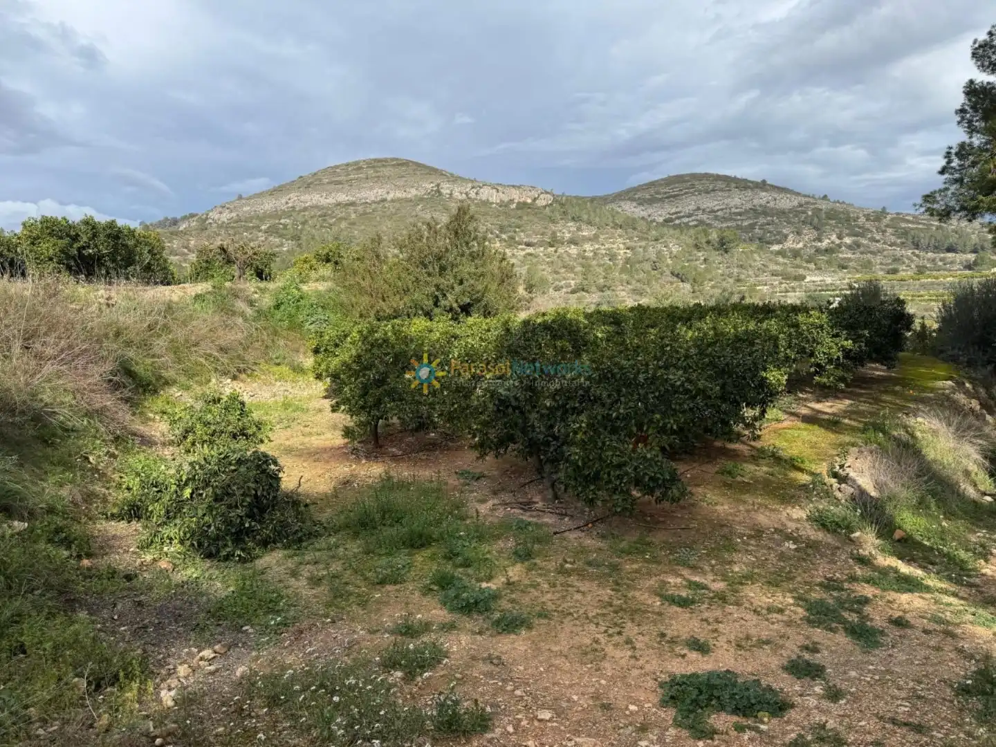 Rural land for sale in Benigànim, imagen 8