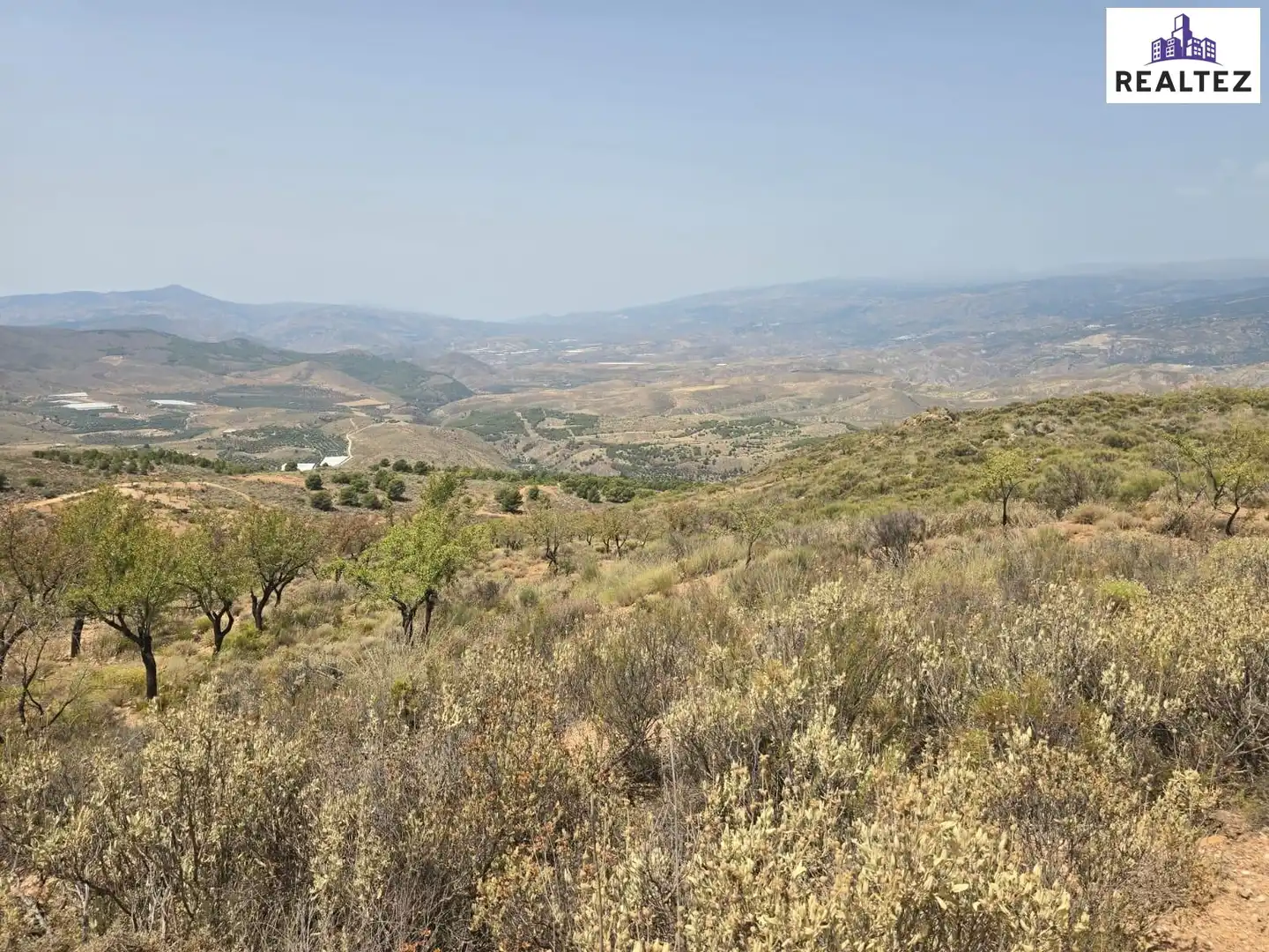 Terrain rustique à vendre à Alcolea, imagen 4