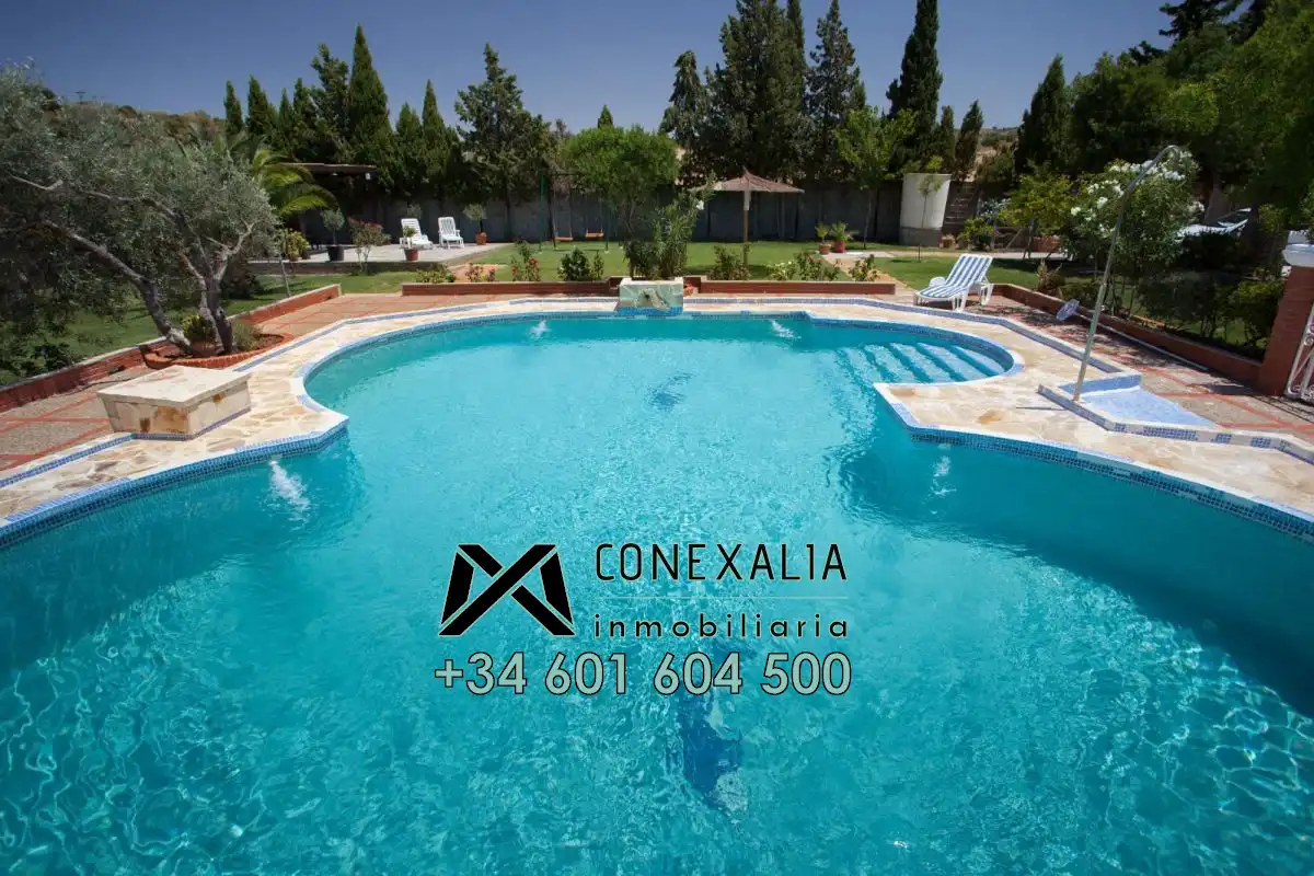 Chalet en venta en Olvera, imagen 2