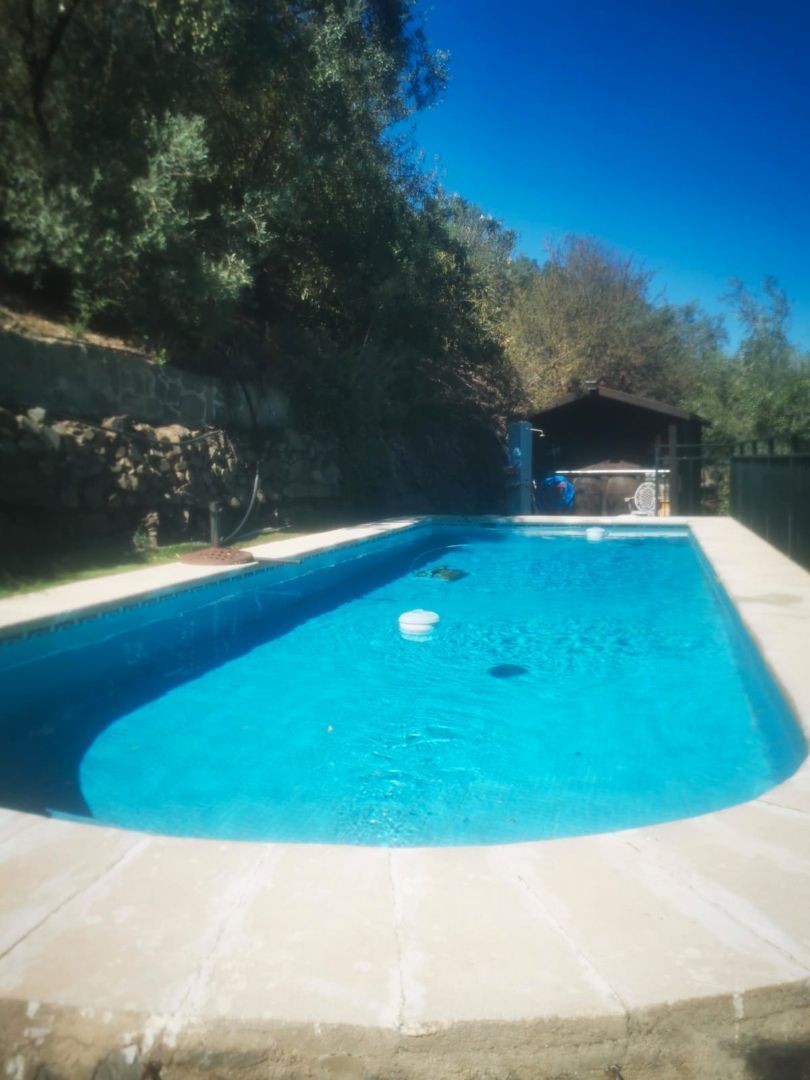 Swimming pool of House or chalet to rent in Alcantarilla  with Air Conditioner, Private garden and Furnished