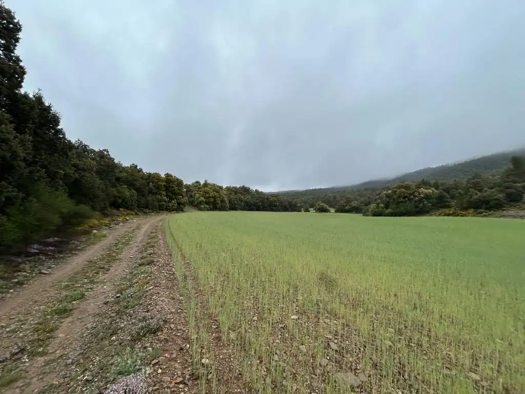 Country homes for sale in El Toro