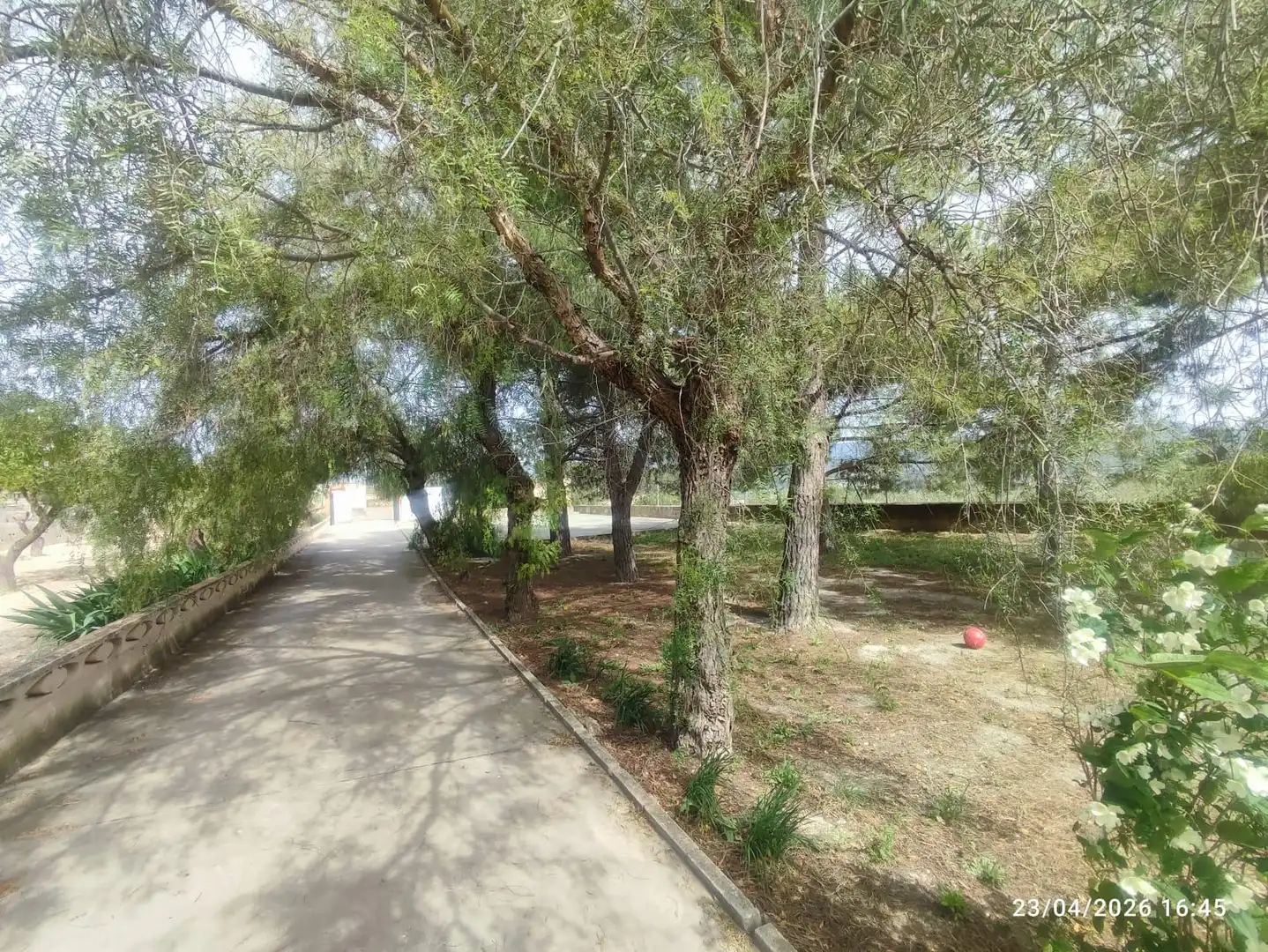 Casa o chalet en venta en Ibi con Jardín privado, Terraza y Piscina