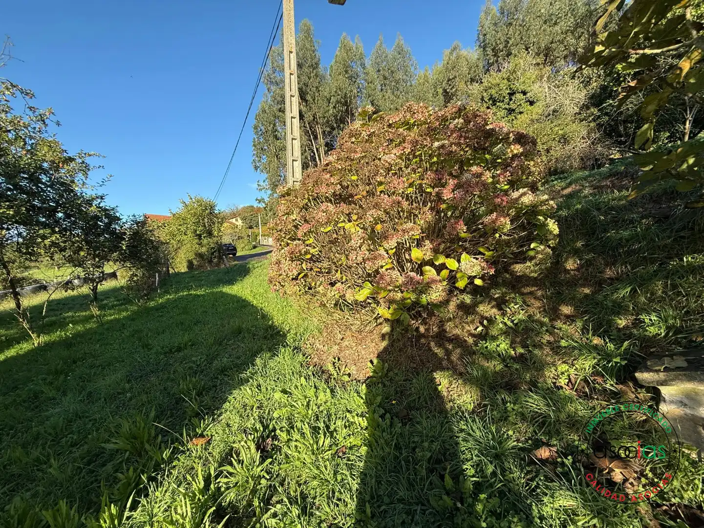 Terreno rustico in vendita a Carreño - Rebollada, imagen 13