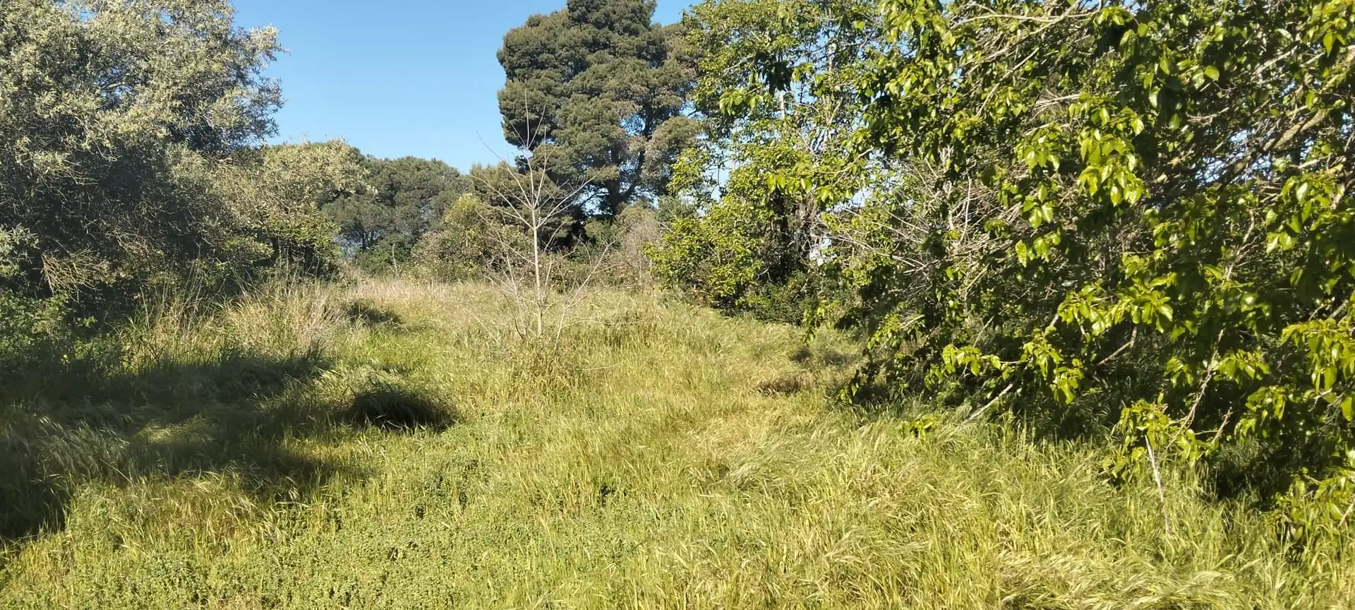 Terreni e lotti in vendita a Los Franceses – La Vega, imagen 12