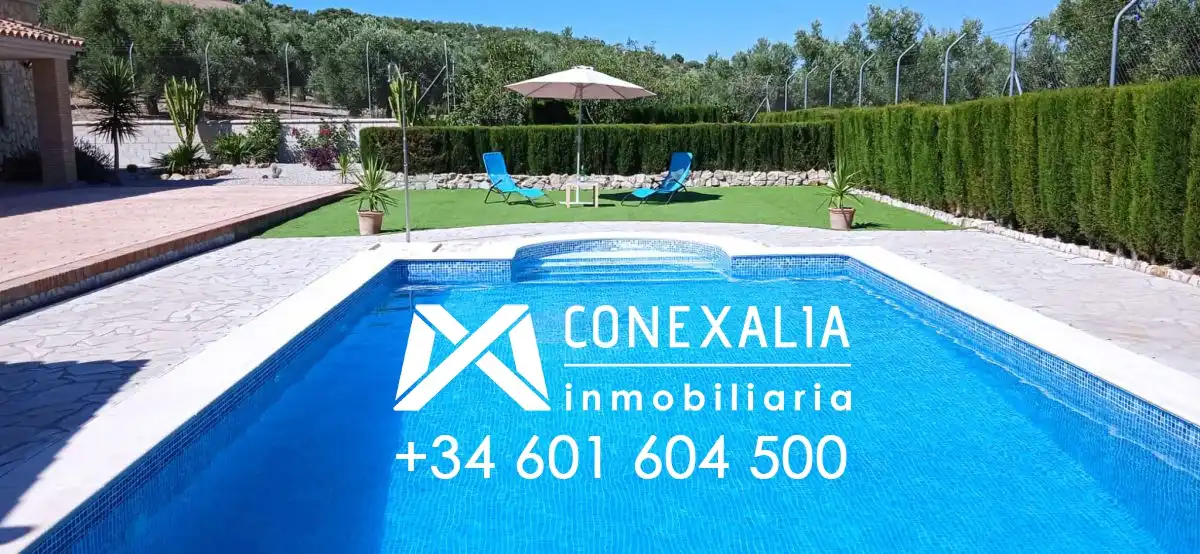 Piscina de Finca rústica en venta en Algodonales con Piscina