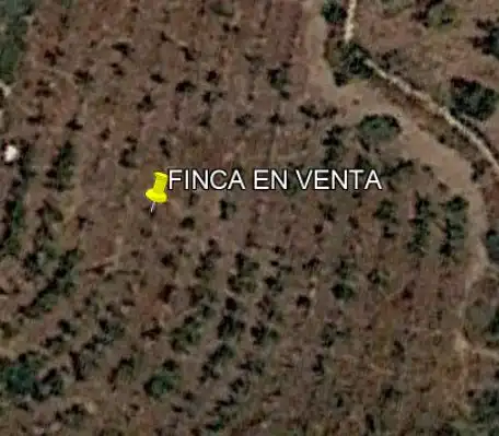 Terreno rústico en venta en Novelda, imagen 4