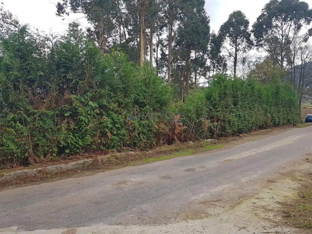 Terreny residencial en venda a Tomiño, imagen 3