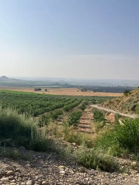 Terreni e lotti in vendita a Fraga