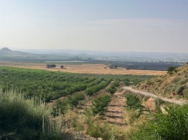 Rustikales Grundstück zum Verkauf in Fraga