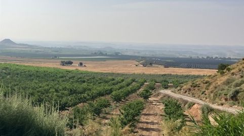 FINCA DE RECREO CON CAPACIDAD DE EDIFCIACIÓN