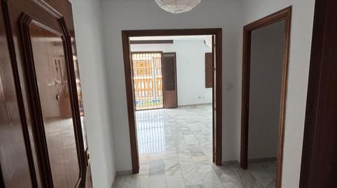 Foto 2 de Oficina de lloguer a Plaza Carmelitas, 5, Camino Viejo de Málaga, Vélez-Málaga