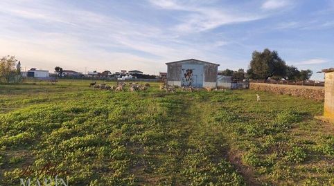 Photo 5 of Country homes for sale in Carretera Portugal, Oeste, Mérida