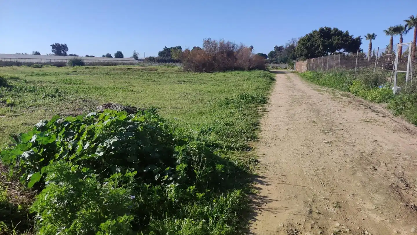 Terreni e lotti in vendita a Valdeconejos, imagen 5