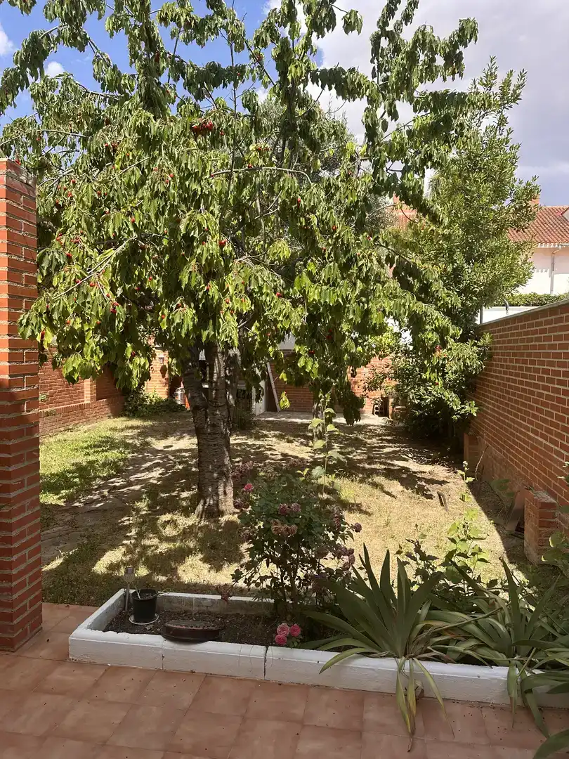 Jardí de Casa adosada en venda en Universidad