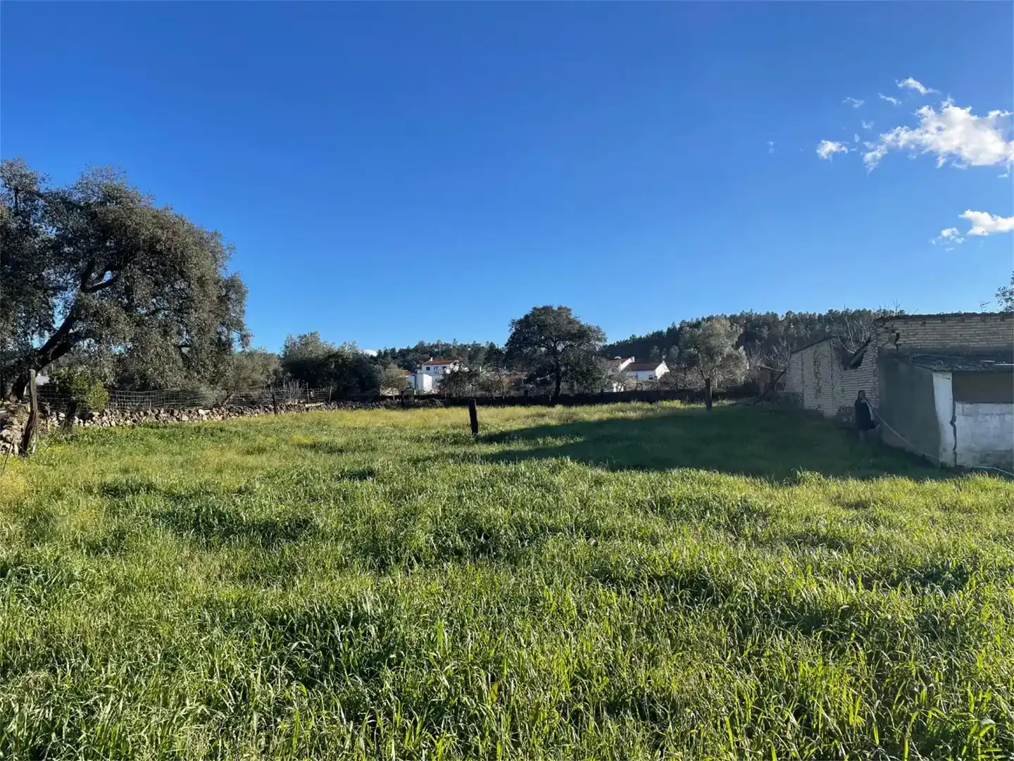 Land for sale in Campofrío