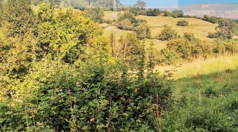 Foto 4 de Finca rústica en venda a Camín de Les Preses, Porceyo, Asturias