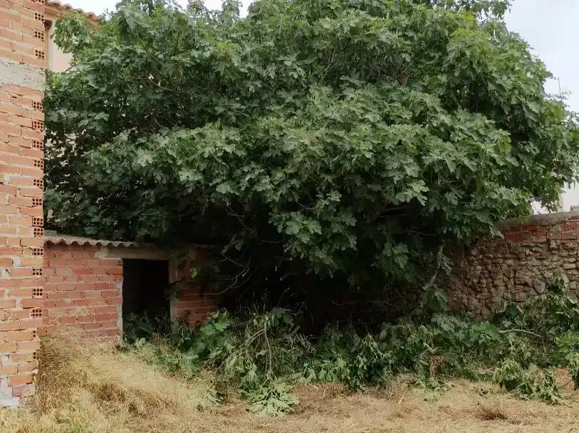 Terreno en venta en Muniesa