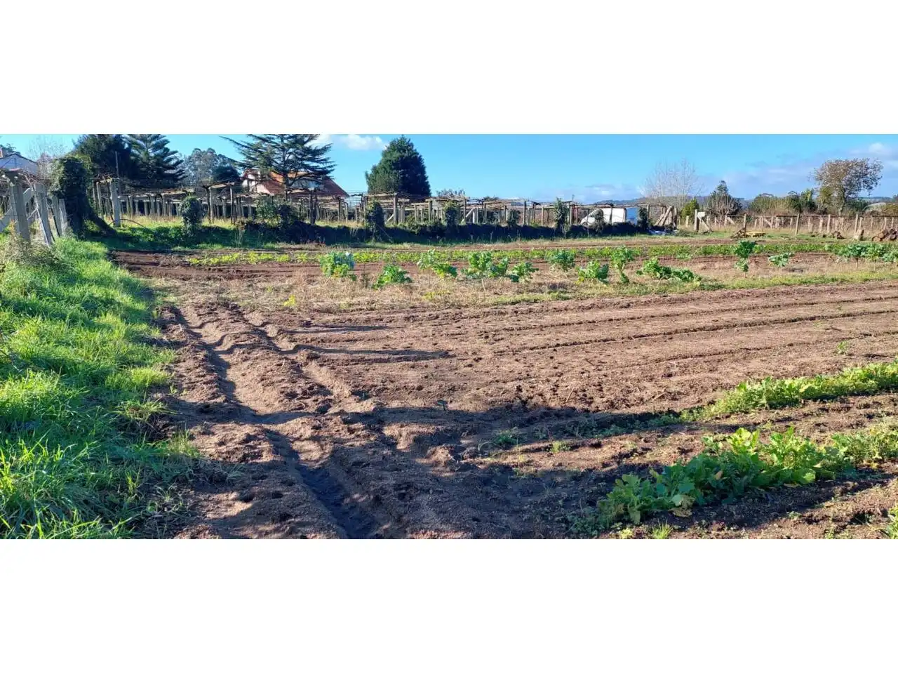 Terreno rustico in vendita a Ribadumia, imagen 16
