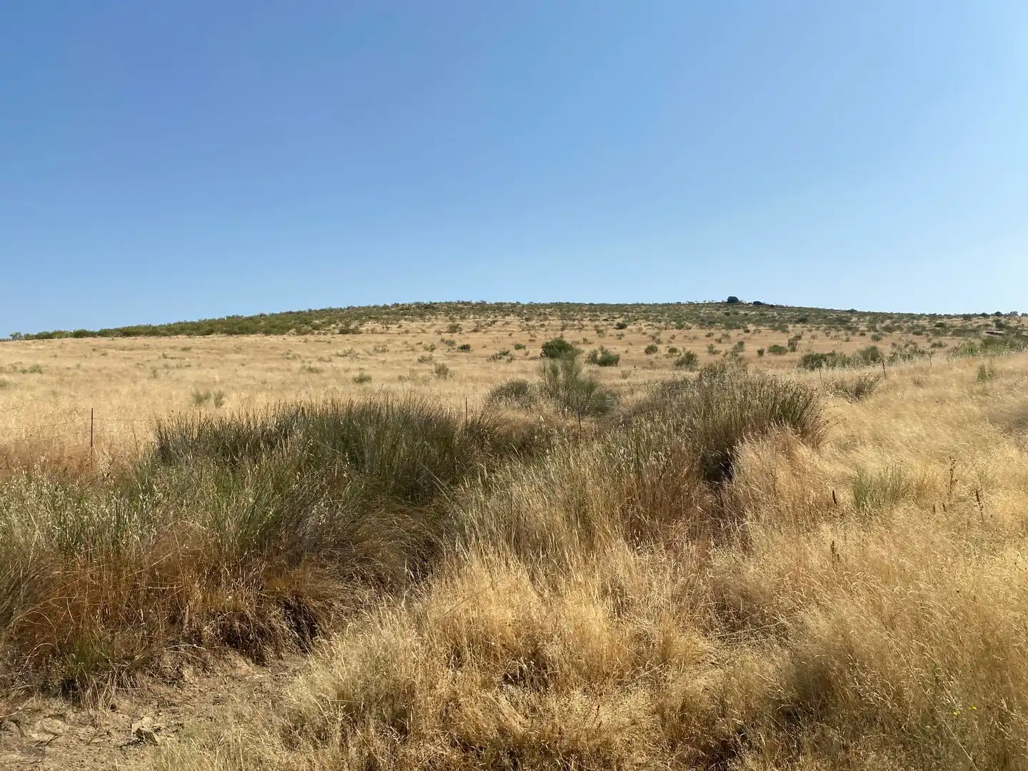 Grundstücke zum Verkauf in Aldeanueva de San Bartolomé