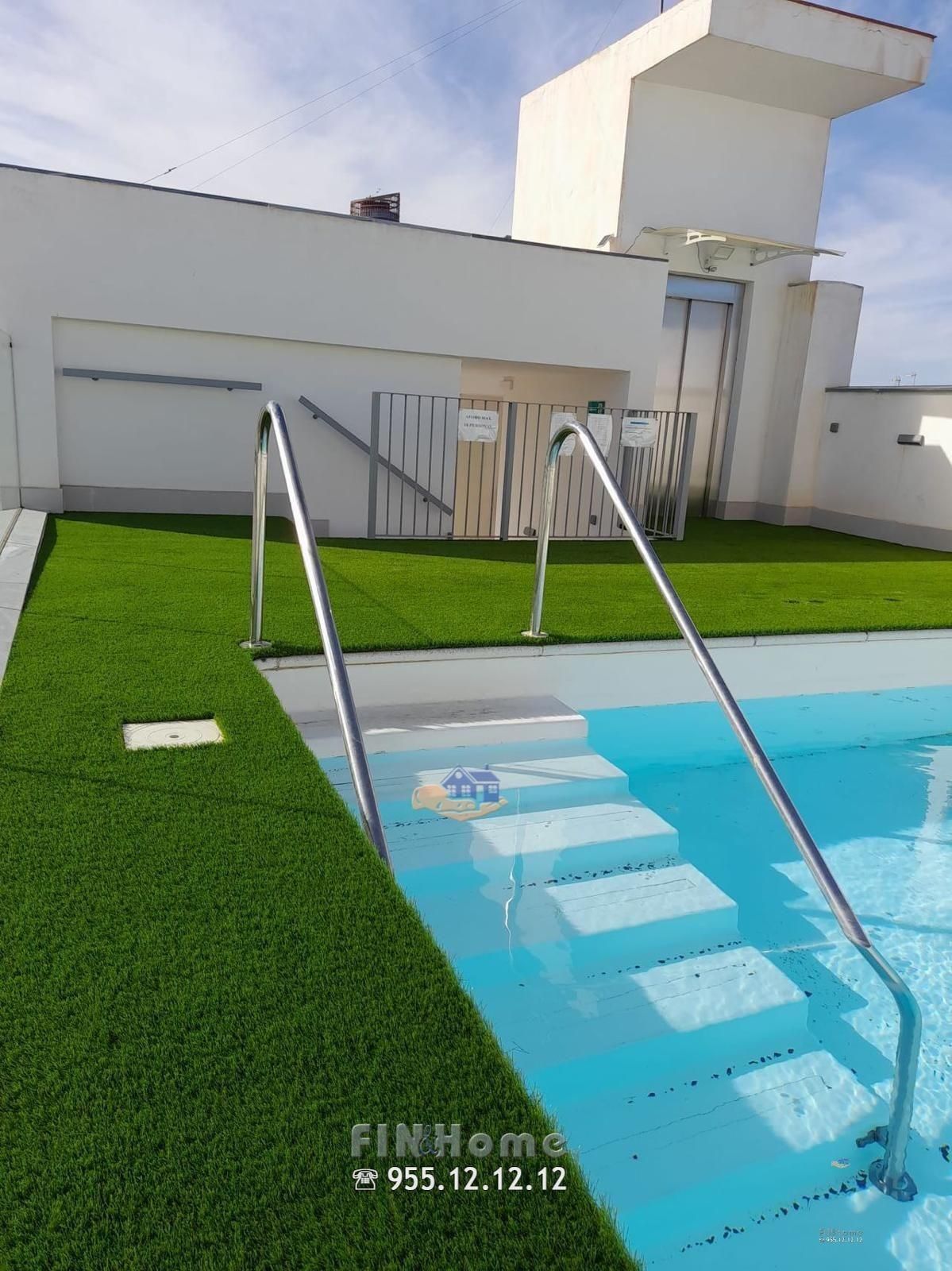 Swimming pool of Duplex to rent in  Sevilla Capital
