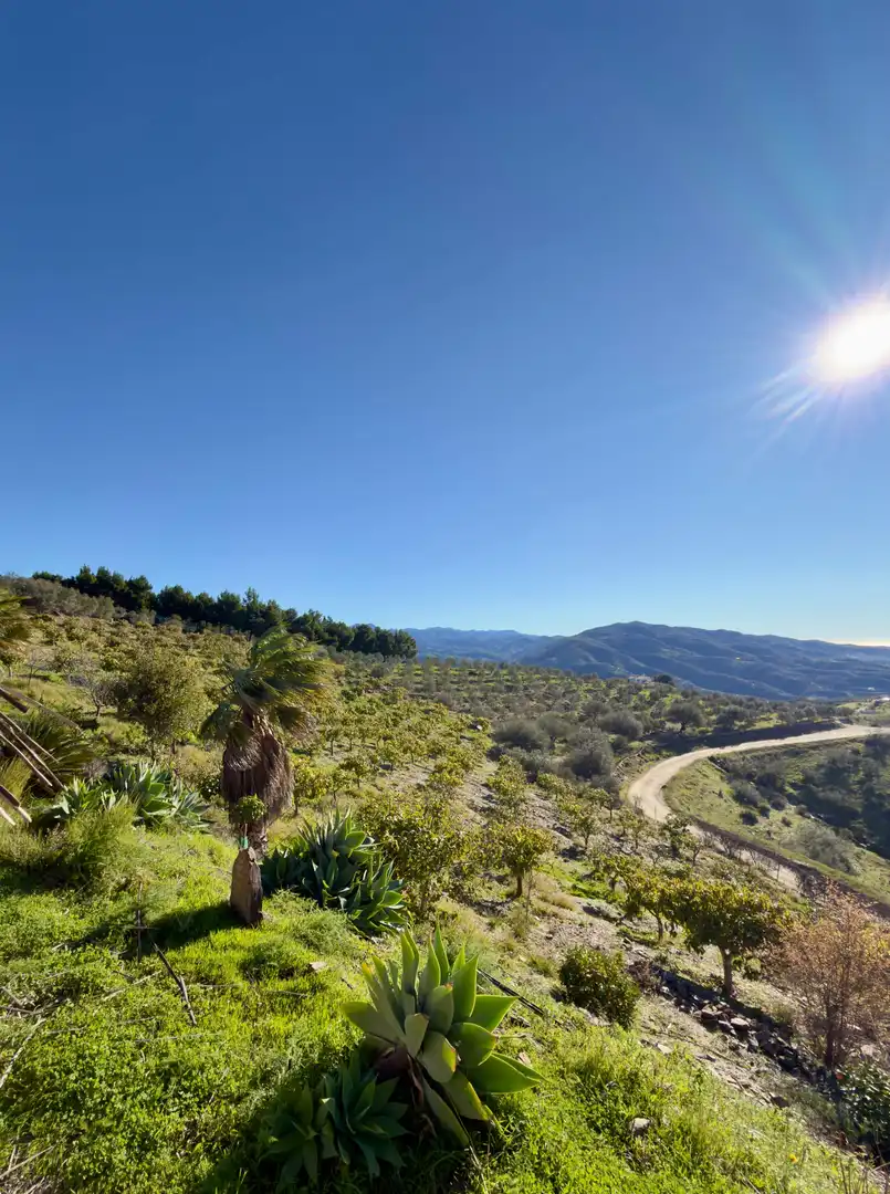 Vista exterior de Casa o xalet en venda en Vélez-Málaga amb Piscina