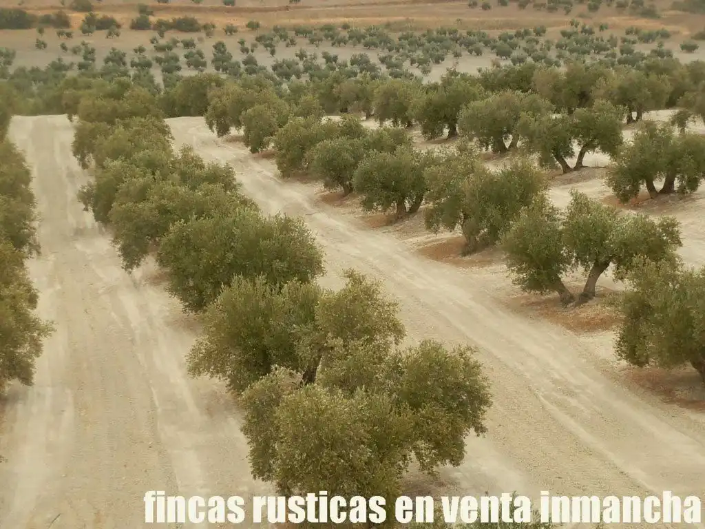 Terreni e lotti in vendita a Andújar, imagen 13