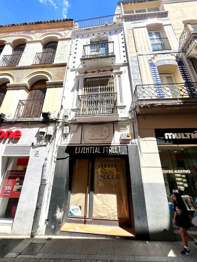 Vista exterior de Casa o xalet en venda en Plasencia amb Terrassa