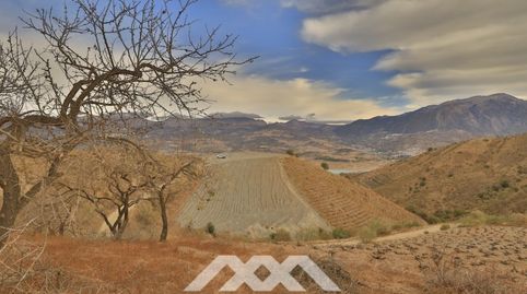Venta Parcelas agrícolas, Málaga, Andalucía, immagine 2