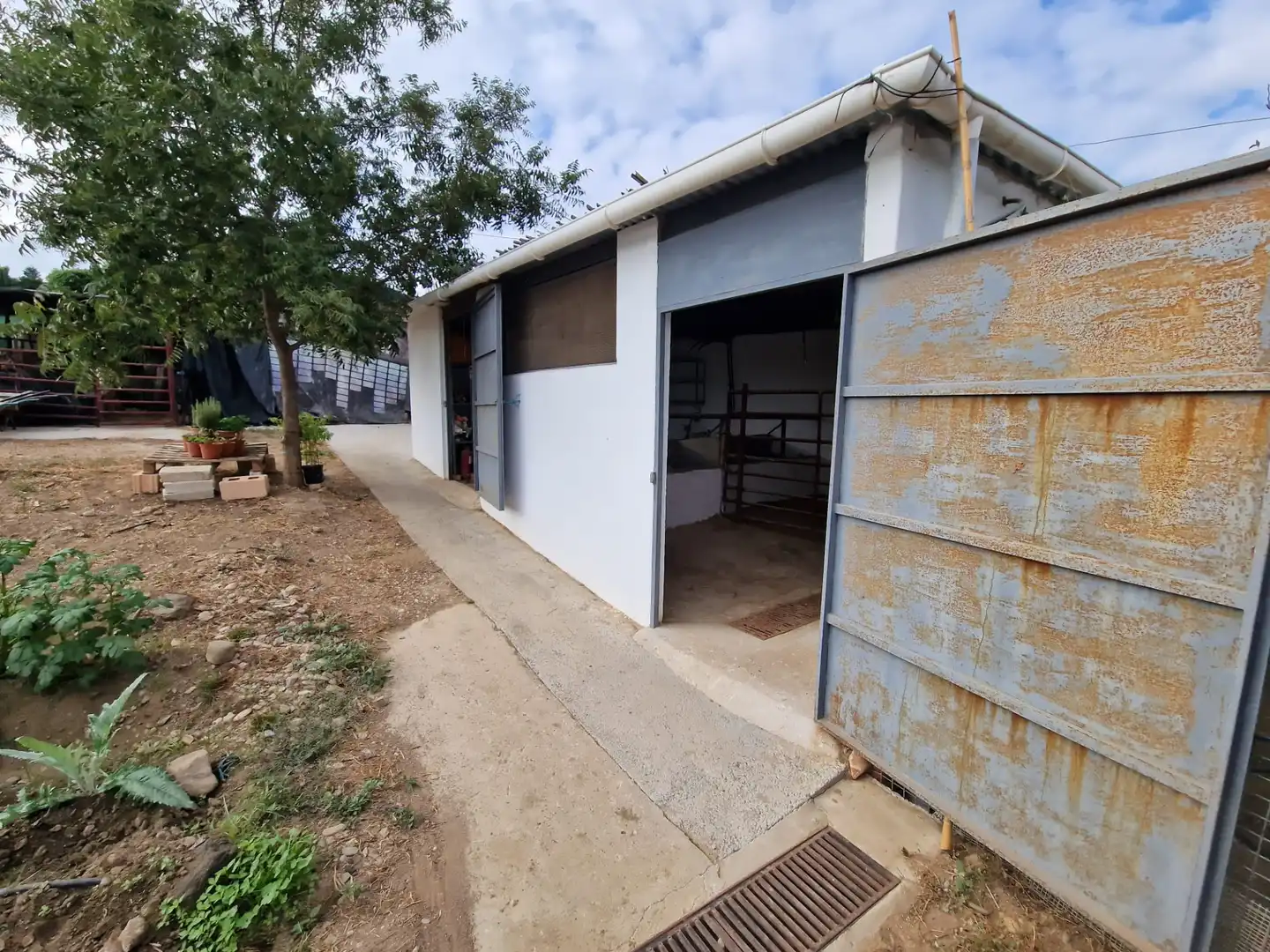 Terreno rustico in vendita a El Romeral - Peñón de Zapata, imagen 31