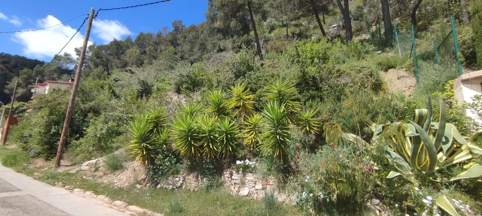Lands and plots for sale in Vallirana, imagen 9