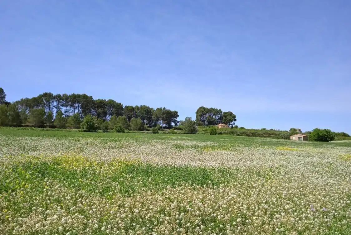 Terreno residenziale in vendita a Agullent, imagen 8