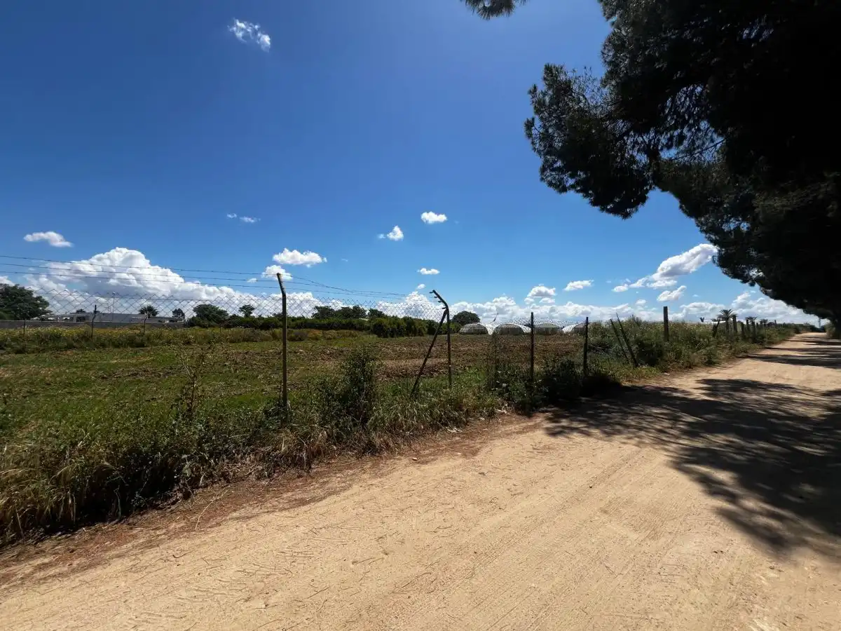 Casa rústica en venda a Los Palacios y Villafranca, imagen 6