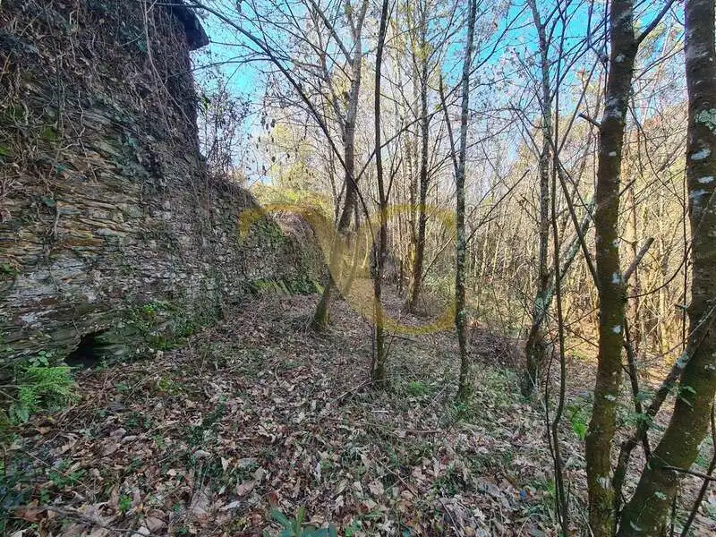 Casa o xalet en venda en Villayón amb Jardí privat