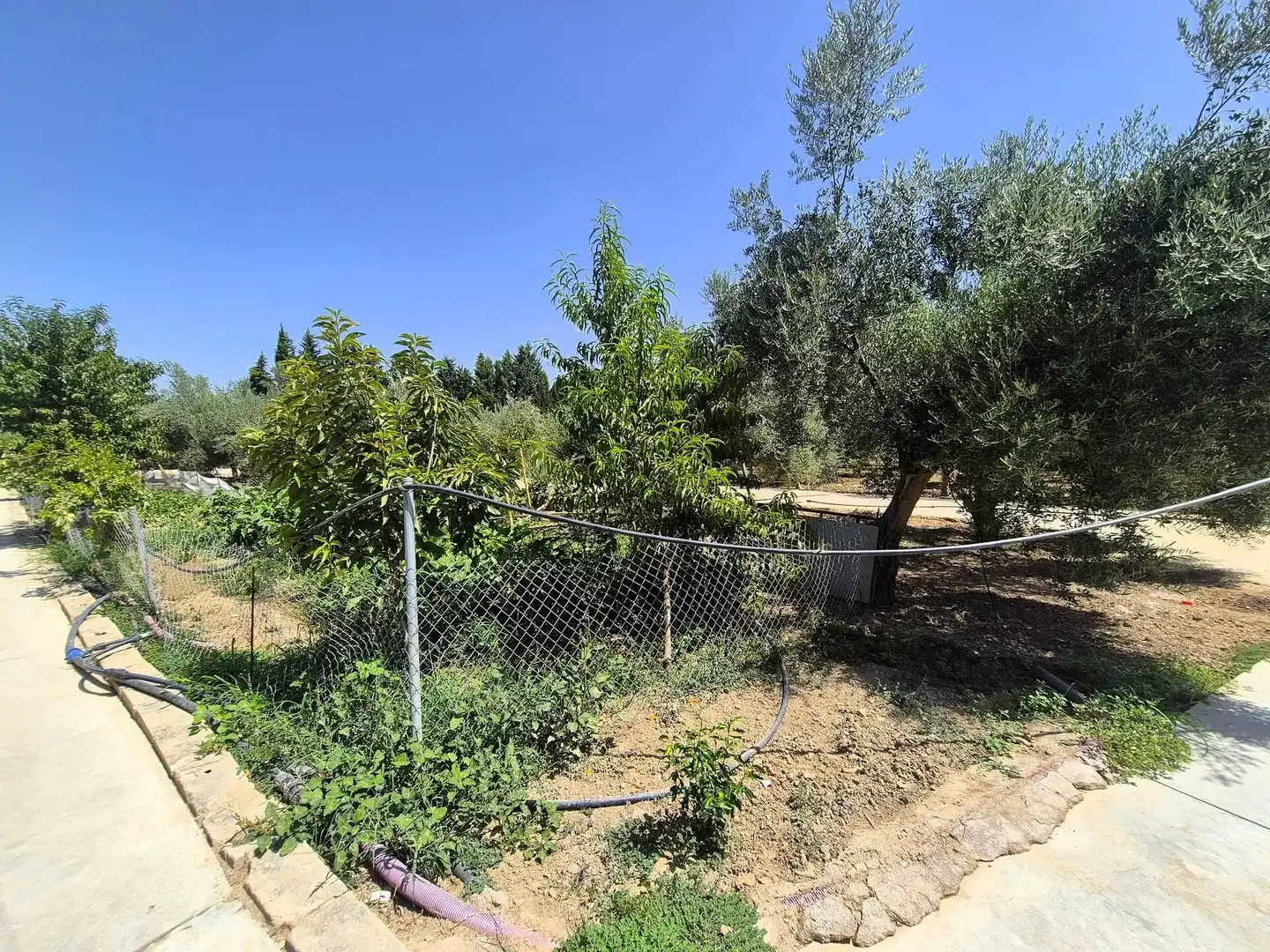 Rural land for sale in Huétor Tájar, imagen 20