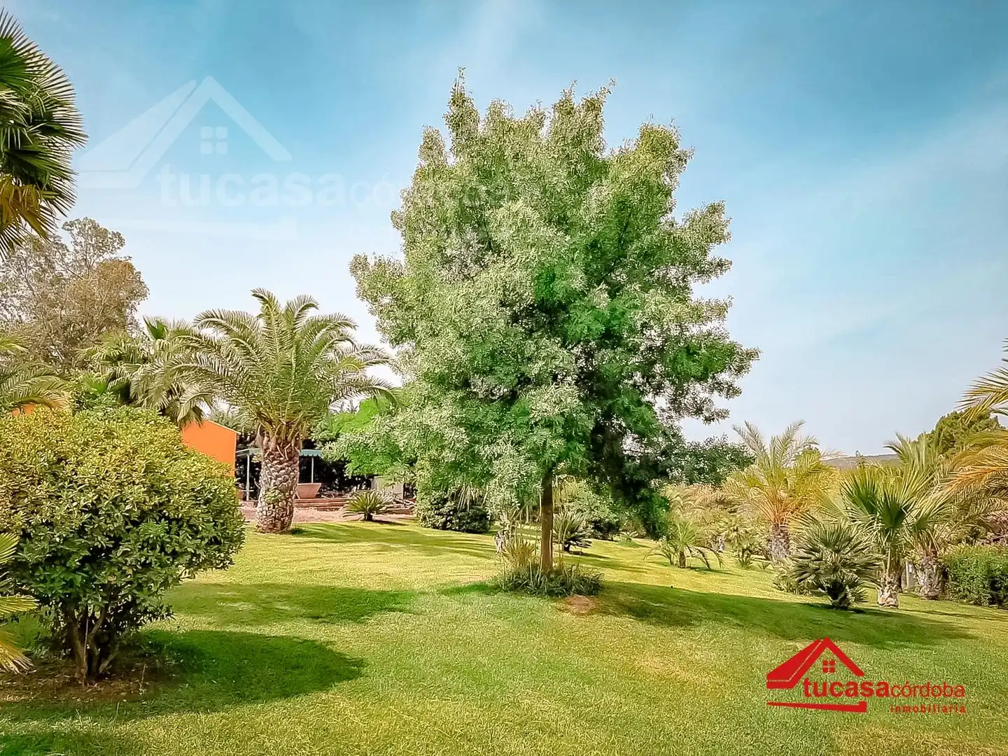Jardín de Finca rústica en venta en Montoro con Jardín privado y Parquet