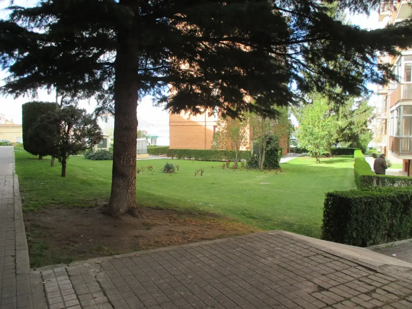 Jardí de Local en venda en Segovia
