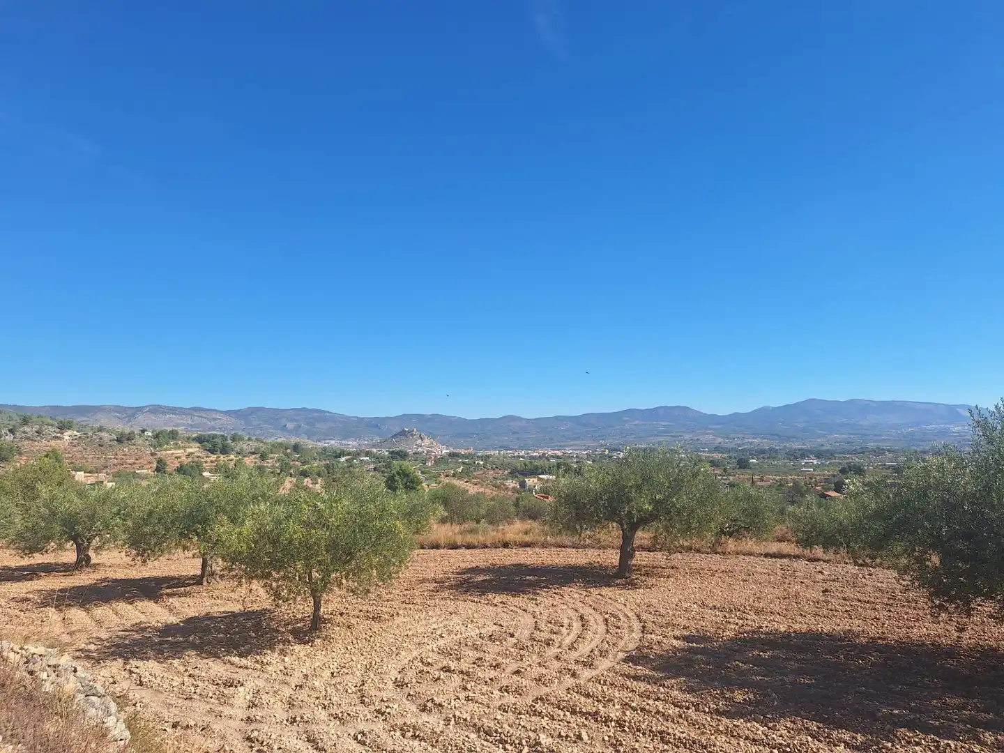 Terreny rústic en venda a Castalla, imagen 13