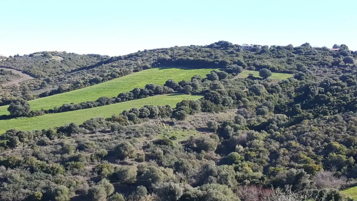 Terrain rustique à vendre à Vejer, imagen 3