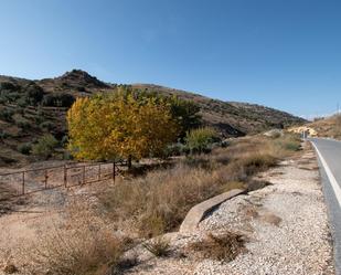 Exterior view of Land for sale in La Peza