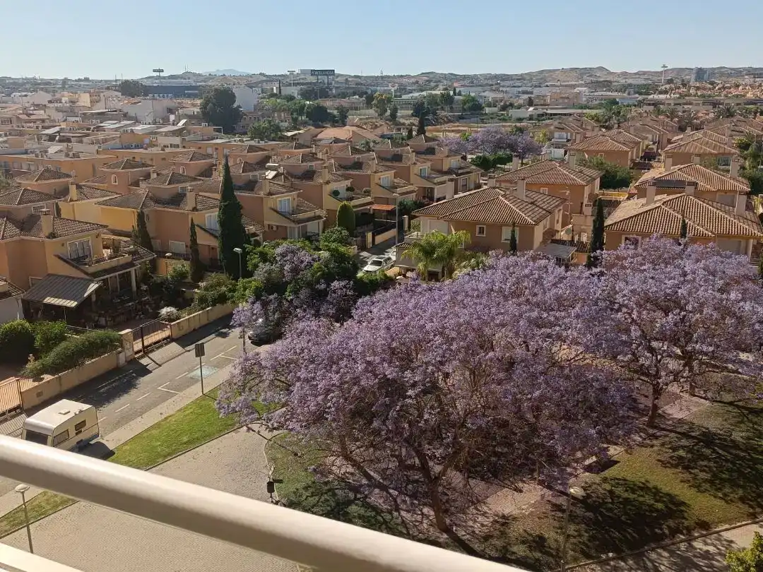 Vista exterior de Piso en venta en  Murcia Capital con Aire acondicionado y Balcón